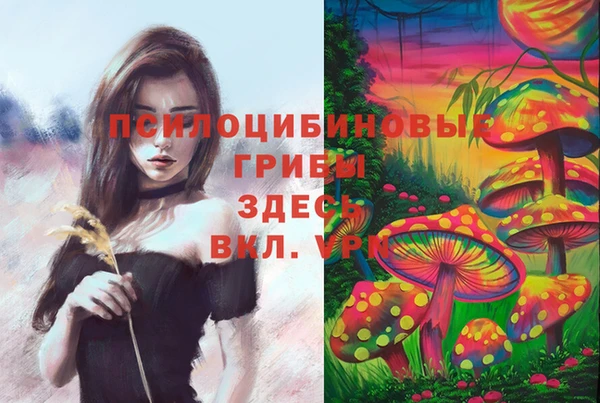 дурь Абинск
